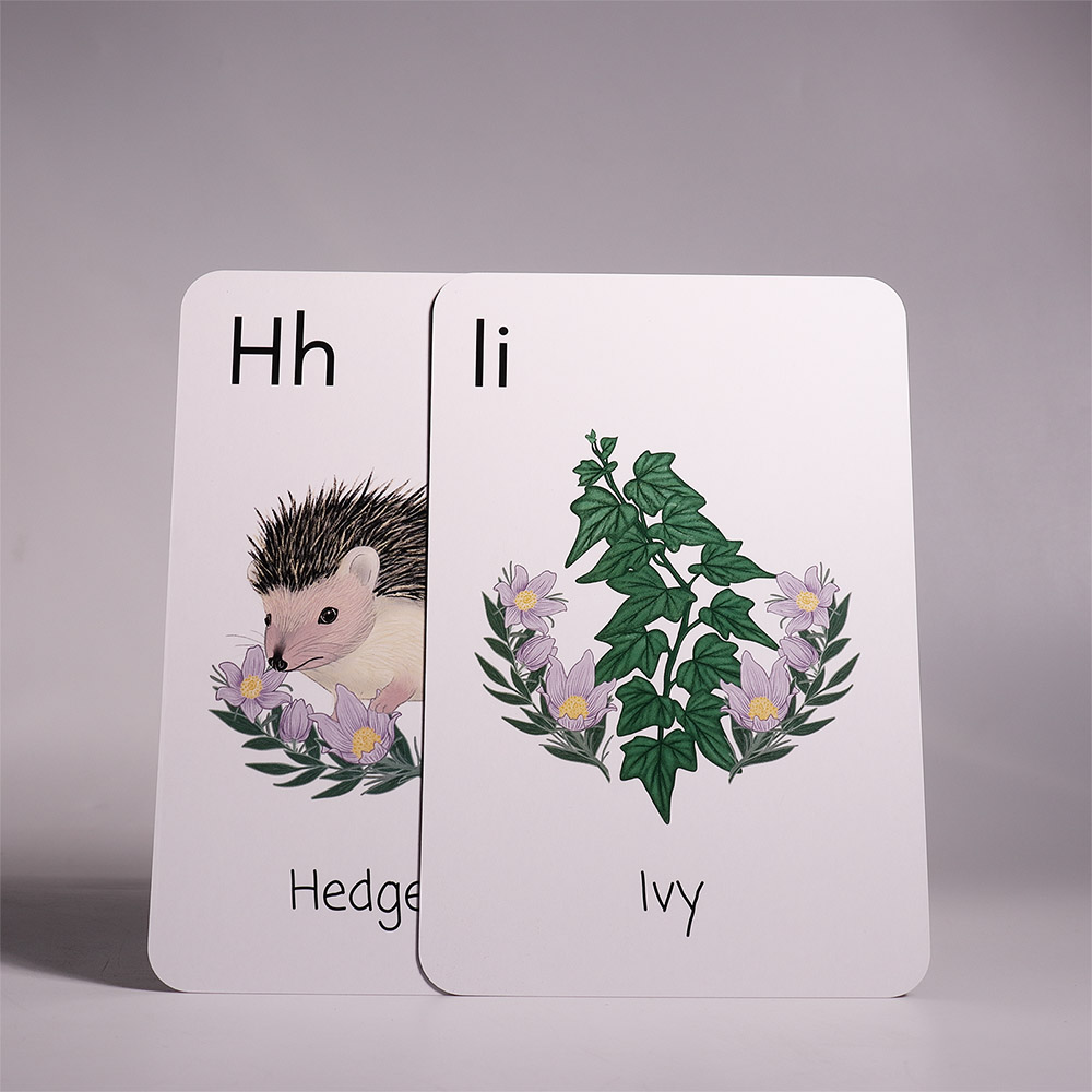 Little Larch Alphabet Cards