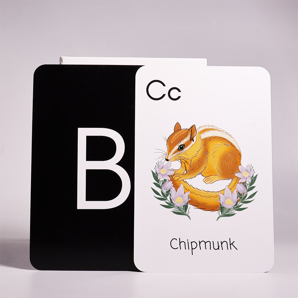 Little Larch Alphabet Cards (11).jpg