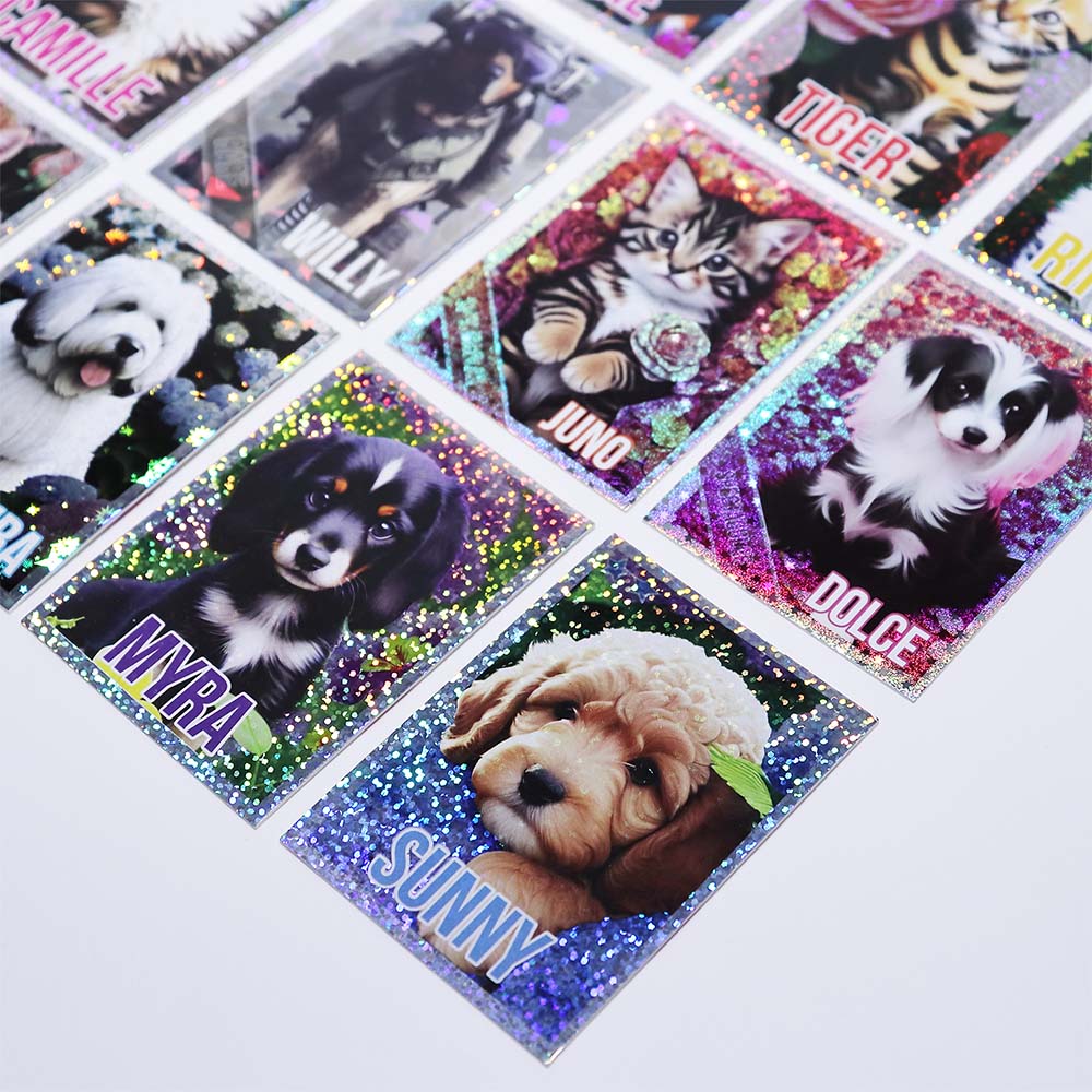 Fluffybutts Factory Custom Pet Card Blind Box Sets (72).jpg