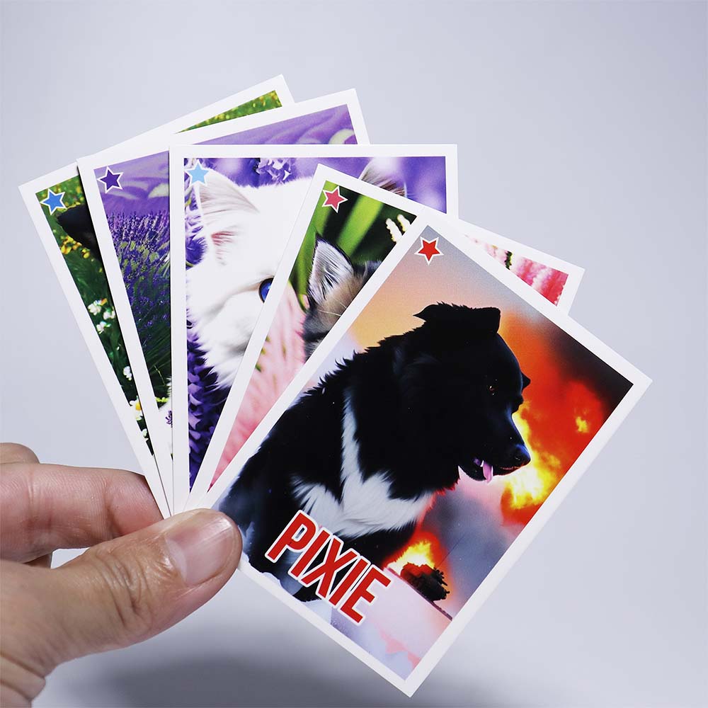 Fluffybutts Factory Custom Pet Card Blind Box Sets (66).jpg