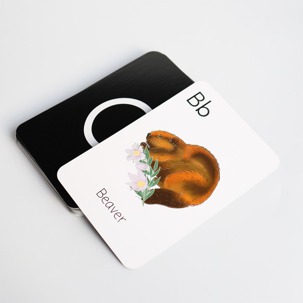 Little Larch Alphabet Cards (10).jpg